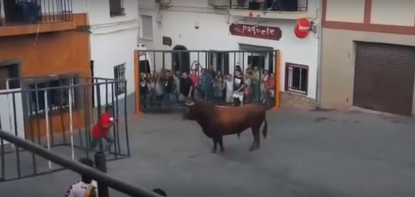ثور يفاجئ مصارعاً داخل قفص حديدي