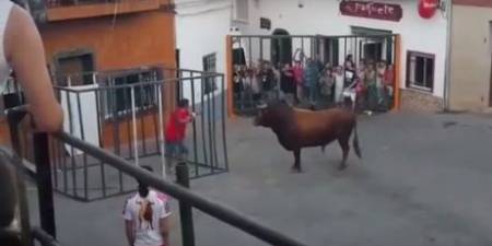 بالفيديو.. ثور يفاجئ مصارعاً إسبانيا داخل قفص حديدي