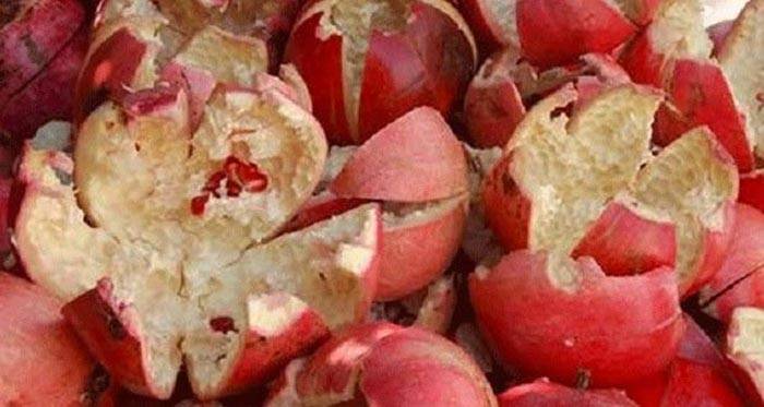 4 أسباب مهمة تمنعكم من رمي قشور الرمّان