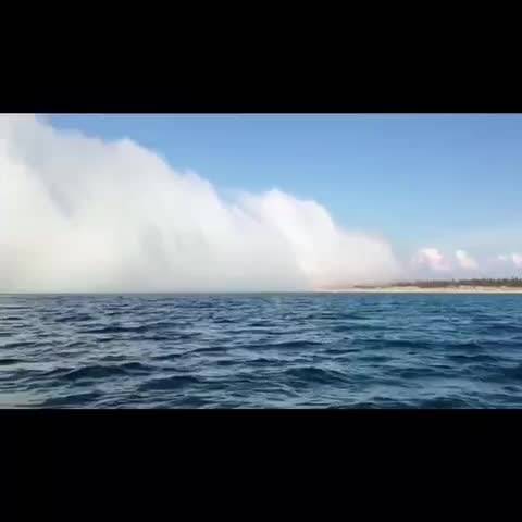 ما بعد الضباب.. هل رحلت الصيفية!؟