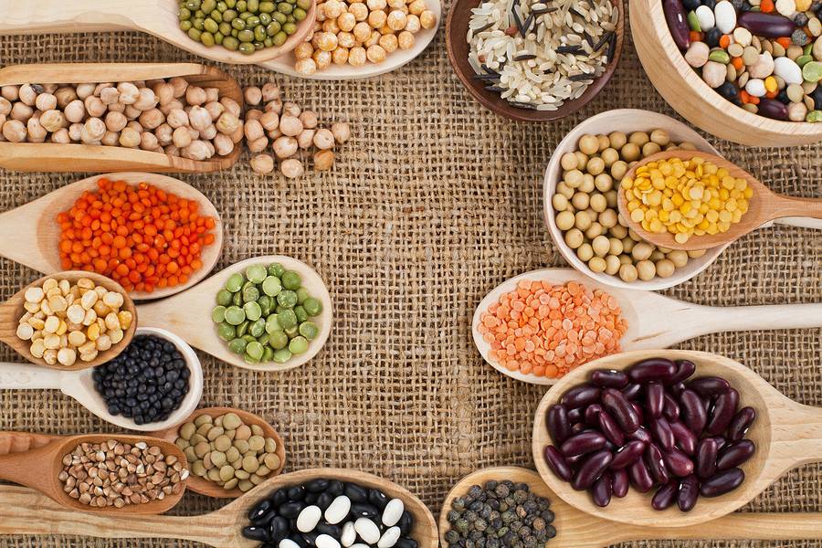 البروتين النباتي يطيل العمر.. أين نجده؟