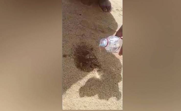 فيديو: سكب الماء على العقرب .. والنتيجة مذهلة !!