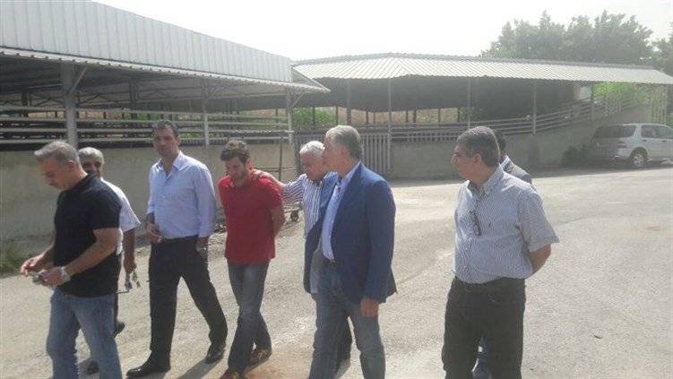 خطة عمل حديثة سترافق افتتاح المسلخ الجديد في بيروت
