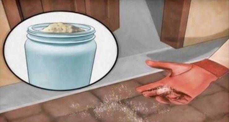 انظروا ماذا يفعل رش الملح حول المنزل!