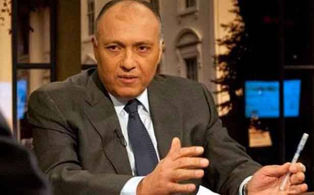 مصادر مصرية: لا شيء يمنع اللقاء والتفاهم مع حزب الله