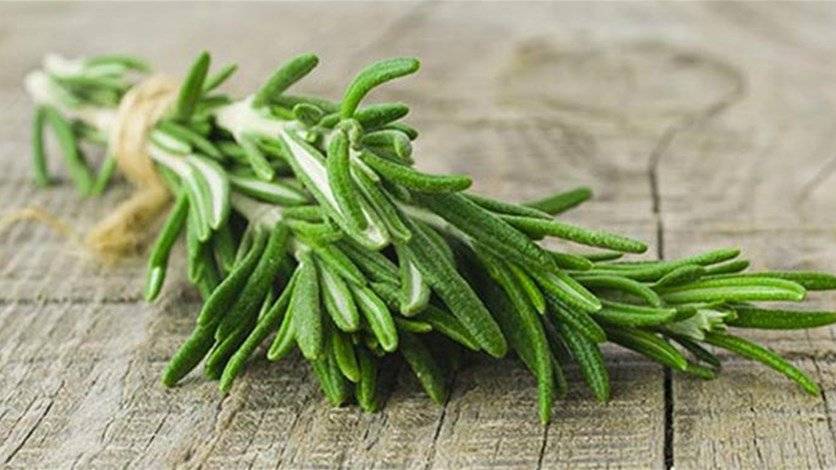 نبات عطريّ يحسّن الذاكرة بنسبة 75 في المئة!