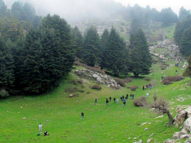 نشاط ترفيهي لنادي عكار في محمية عصام فارس