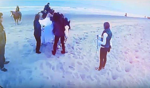 بالفيديو.. جواد يطيح بعروس من على ظهره أثناء تصويرها