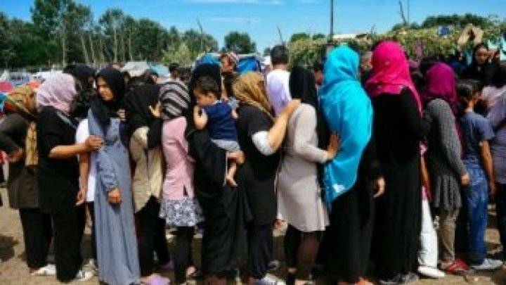 المجر: بناء سياج جديد على الحدود مع صربيا لمواجهة تدفق المهاجرين