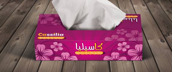 سرق 4 علب مناديل وسجن لمدة سنة!!