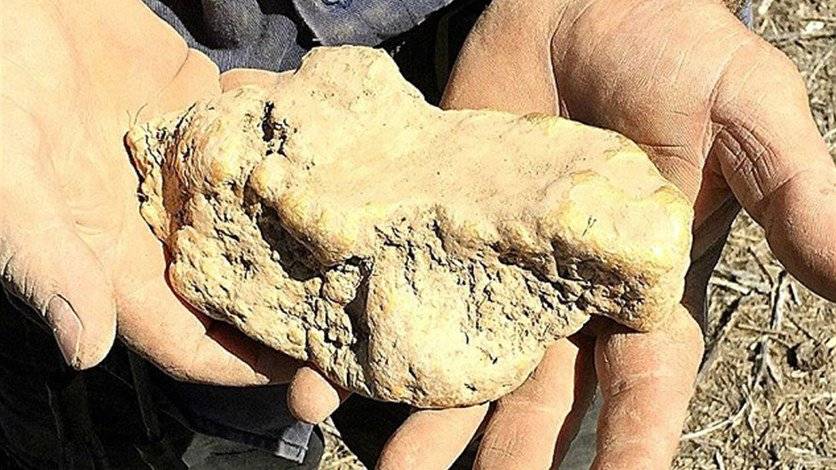 بالصورة: عثر على حجرٍ فريد من نوعه... غيّر حياته