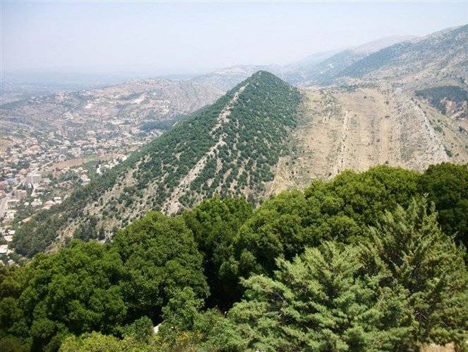 طفلة في الرابعة من عمرها ضائعة في أحراج الشوف..!