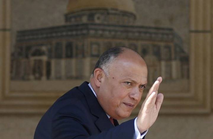 شكري إلى فرنسا لمحاولة إحياء 