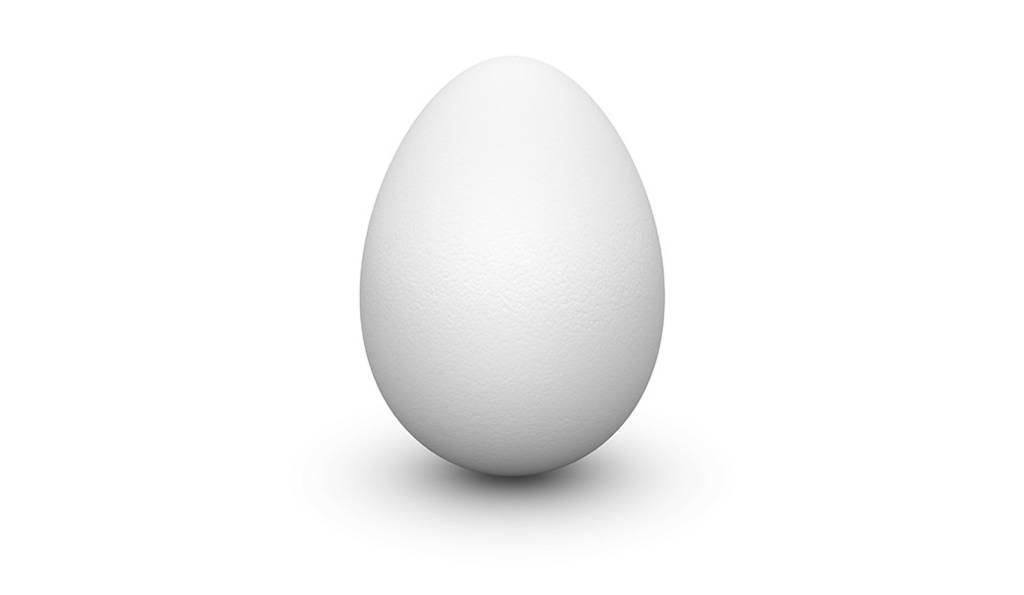 بالصورة: البيضة أصبحت تطير!!