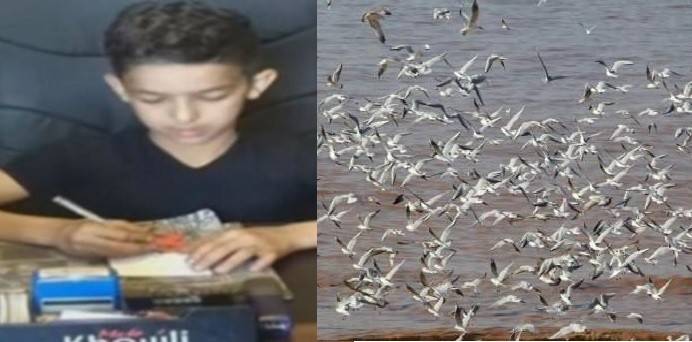 بعد فضيحة 