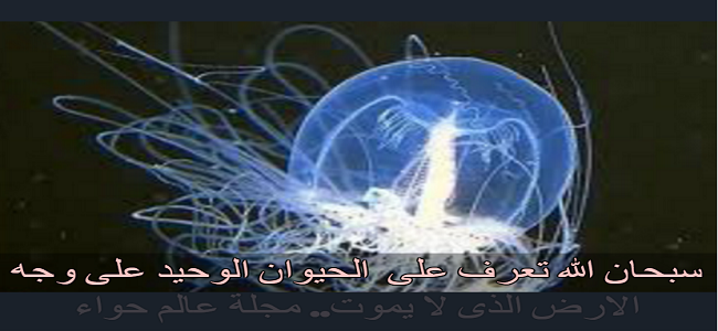 تعرف على الحيوان الوحيد على وجه الارض الذي لا يموت!!