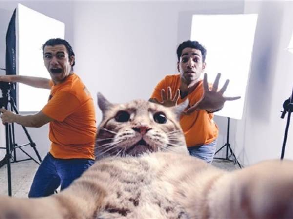 صورة سيلفي «القطة» يشعل جدل الفيس بوك