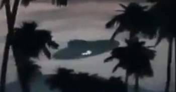 فيديو- ظهور 