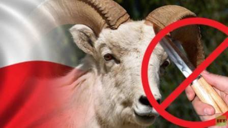 بلدية طرابلس ودار الفتوى حددا شروط الذبح في عيد الاضحى