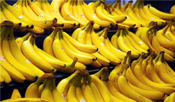 4 أطعمة يفضل تناولها لتعزيز البكتيريا النافعة بالمعدة أهمها الموز