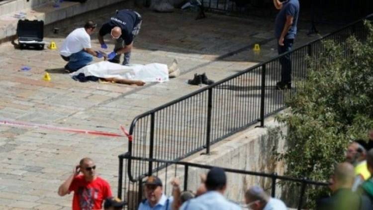 الأردن يندد بجريمة قتل العمرو في القدس