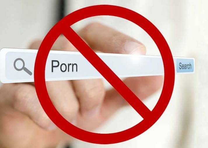 بعدما شاهدوا المواد الإباحية.. هذا ما أصاب الإنترنت!