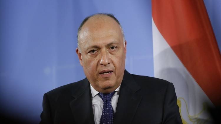 خلافات مصرية سعودية بشأن مصير الأسد