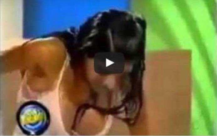 بالفيديو... مواقف مضحكة ومؤلمة ومحرجة للمذيعين!