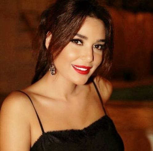 فنانة مصرية تتهم سيرين عبد النور بالسرقة  (فيديو)