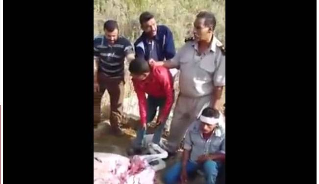شاهد بالفيديو.. كيف اجبرت الشرطة المصرية جزاراً على الأكل من لحم حمار بعد القبض عليه وهو يذبحه