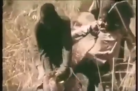 فيديو مرعب: صيد الأفاعي الضخمة بالطعم البشري!