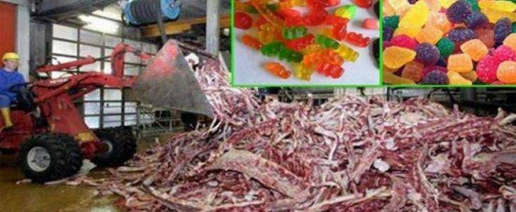 فيديو صادم.. لن تأكلوا حلوى ‘الجيلاتين’ بعد اليوم!!
