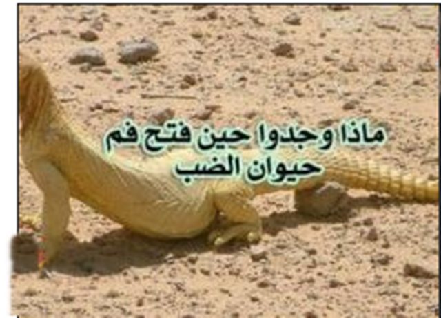 مفاجأة وجدوا حيوان مخيط الفم وما وجدوه داخل فمه كان كارثة!