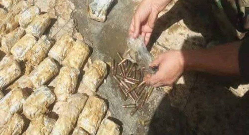 بالصور...بقرة في ريف دمشق تحمل ذخائر للمسلحين في أحشائها