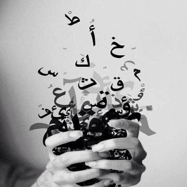 ما هي ثاني أفضل لغة للحصول على أعلى وظيفة؟