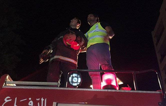 بالصور: هرة عالقة في أعلى شجرة تضع عناصر من الدفاع المدني في حالة استنفار