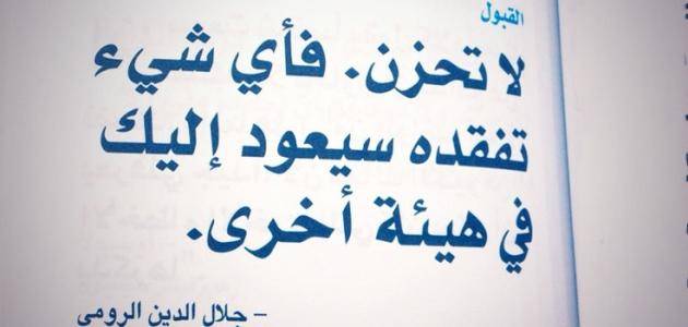 ذكرى مولد جلال الدين الرومي