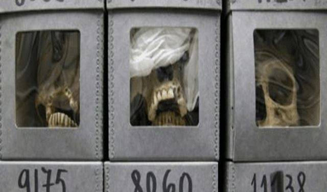 بالفيديو: متحف في باريس يضم مئات الجماجم لمقاومين جزائريين