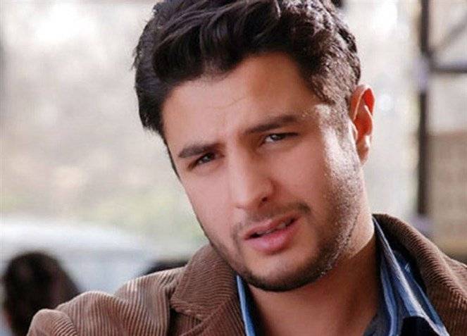إيقاف أحمد الفيشاوي عن التمثيل
