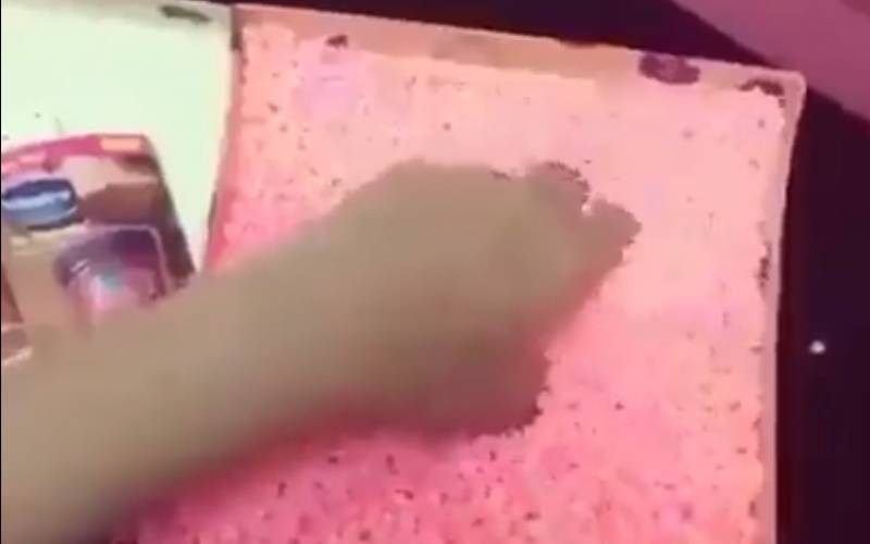 بالفيديو.. هدية فتاة تشعل مواقع التواصل الاجتماعي