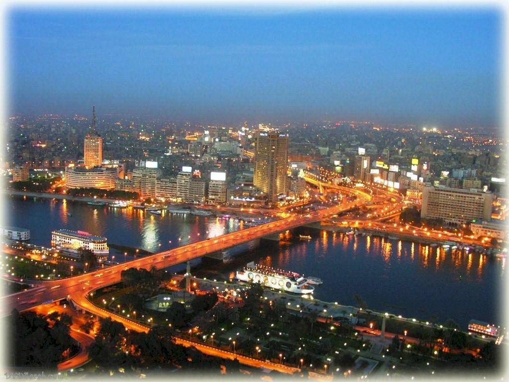 بالفيديو: نصف رجال مصر.. عاجزون جنسياً؟!
