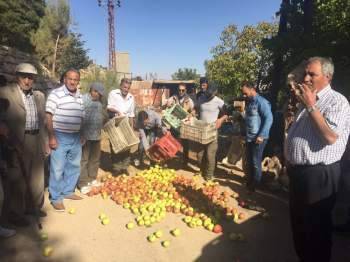 مزارعو التفاح قطعوا طريق دار الواسعة بالاتجاهين وطالبوا بالتعويض