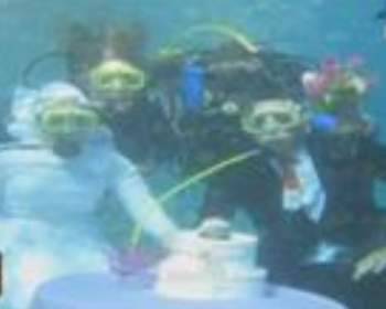 بالفيديو: عروسان مصريان يقيمان حفل زفافهما في قاع البحر الأحمر