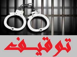 توقيف 20 سوريا في شكا...