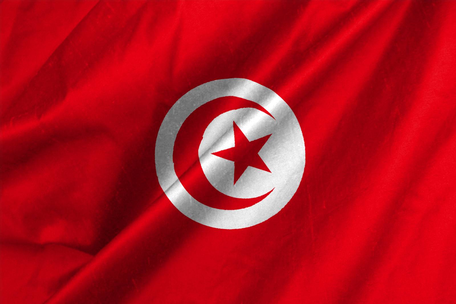 31 حكما غيابيا بالاعدام في الاعتداء على منزل وزير تونسي في 2014