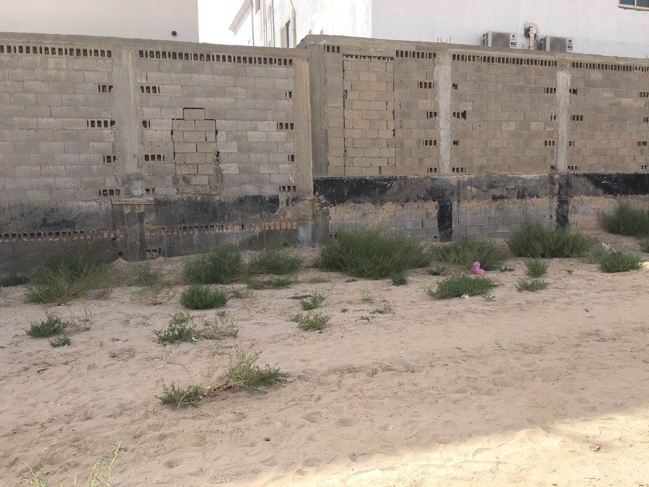 هذه صورة الطفلة 