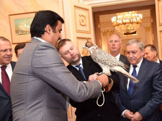 خلاف بين قطر وكازاخستان بسبب نفوق صقر أمير قطر أثناء احتجازه في مستودع جمارك