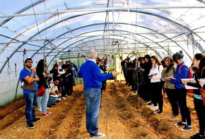 مشاريع للإنتاج الزراعي خارج التربة