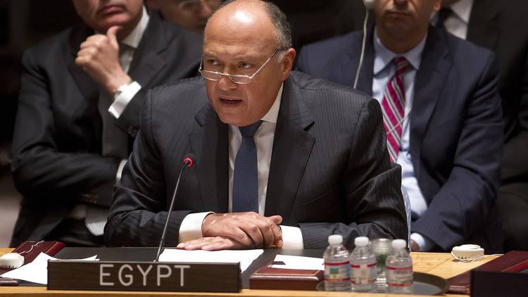 توتر بين السعودية ومصر على خلفية الصراع السوري والنتيجة؟