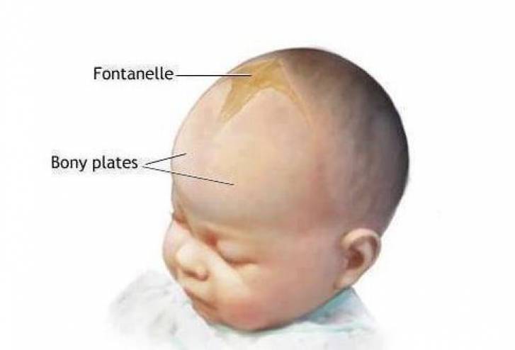 لمـاذا يجب الا نلمس قمة رأس طفل حديث الولادة؟